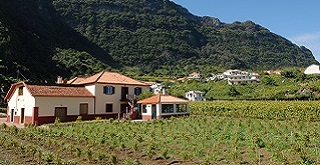 Museu do Vinho e da Vinha
